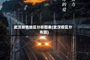 武汉疫情地区分析图表(武汉疫区分布图)