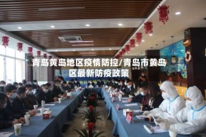 青岛黄岛地区疫情防控/青岛市黄岛区最新防疫政策