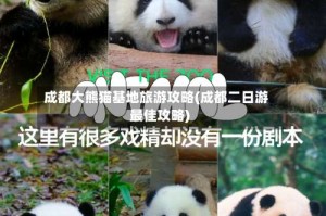 成都大熊猫基地旅游攻略(成都二日游最佳攻略)