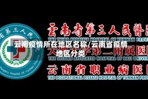 云南疫情所在地区名称/云南省疫情地区分类