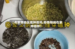 【有疫情地区能种地吗,疫情期间在家种植物】