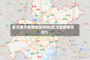 武汉属于疫情地区吗吗(武汉是疫情区吗?)