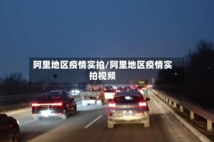 阿里地区疫情实拍/阿里地区疫情实拍视频