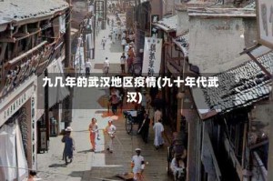 九几年的武汉地区疫情(九十年代武汉)