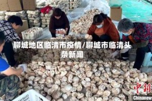 聊城地区临清市疫情/聊城市临清头条新闻