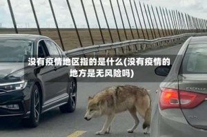 没有疫情地区指的是什么(没有疫情的地方是无风险吗)