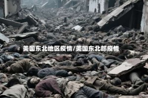 美国东北地区疫情/美国东北部疫情