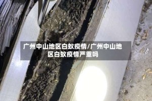广州中山地区白蚁疫情/广州中山地区白蚁疫情严重吗