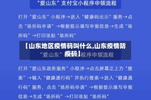 【山东地区疫情码叫什么,山东疫情防疫码】