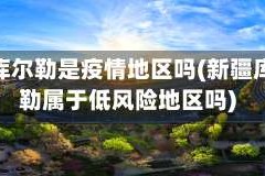 新疆库尔勒是疫情地区吗(新疆库尔勒属于低风险地区吗)
