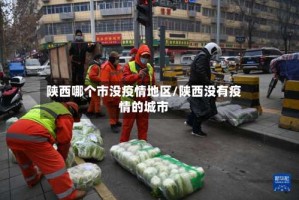 陕西哪个市没疫情地区/陕西没有疫情的城市