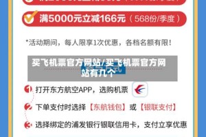 买飞机票官方网站/买飞机票官方网站有几个