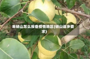 来砀山怎么报备疫情地区(砀山返乡要求)