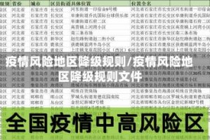 疫情风险地区降级规则/疫情风险地区降级规则文件