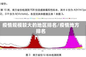 疫情规模较大的地区排名/疫情地方排名