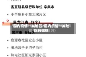 国内疫情一类地区/国内疫情一类地区有哪些