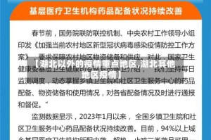 【湖北以外的疫情重点地区,湖北其他地区疫情】