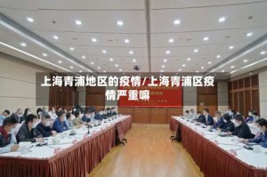 上海青浦地区的疫情/上海青浦区疫情严重嘛