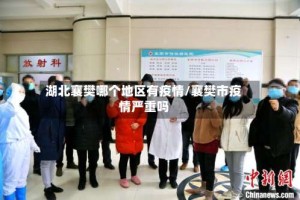 湖北襄樊哪个地区有疫情/襄樊市疫情严重吗
