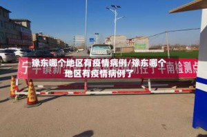 豫东哪个地区有疫情病例/豫东哪个地区有疫情病例了