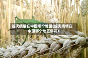蝗灾疫情在中国哪个地区(蝗灾疫情在中国哪个地区爆发)