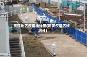 武汉地区疫情曲线图(武汉疫情区域划分)
