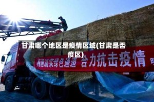 甘肃哪个地区是疫情区域(甘肃是否疫区)