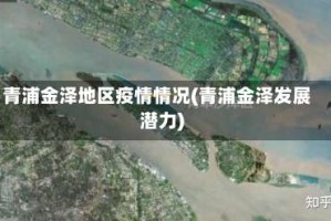 青浦金泽地区疫情情况(青浦金泽发展潜力)