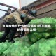 宜宾疫情在什么地区爆发/四川宜宾的疫情怎么样