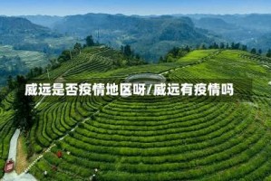 威远是否疫情地区呀/威远有疫情吗