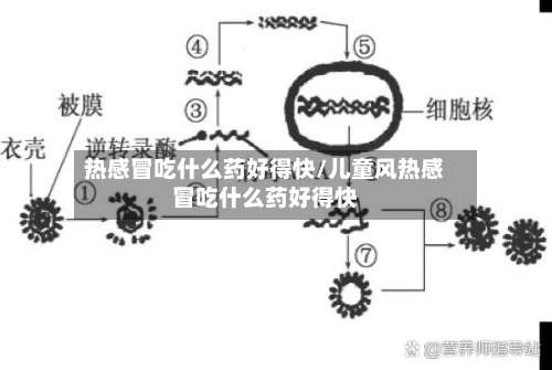 热感冒吃什么药好得快/儿童风热感冒吃什么药好得快-第2张图片