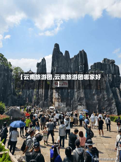 【云南旅游团,云南旅游团哪家好】-第2张图片