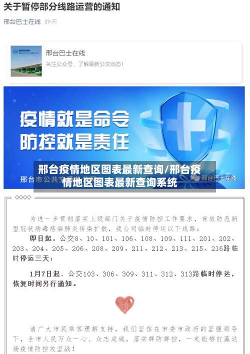 邢台疫情地区图表最新查询/邢台疫情地区图表最新查询系统-第3张图片