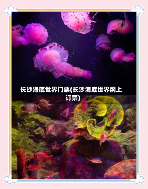 长沙海底世界门票(长沙海底世界网上订票)-第1张图片