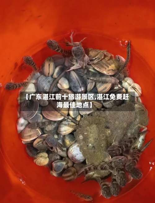 【广东湛江前十旅游景区,湛江免费赶海最佳地点】-第3张图片