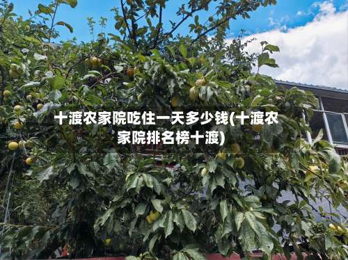 十渡农家院吃住一天多少钱(十渡农家院排名榜十渡)-第1张图片