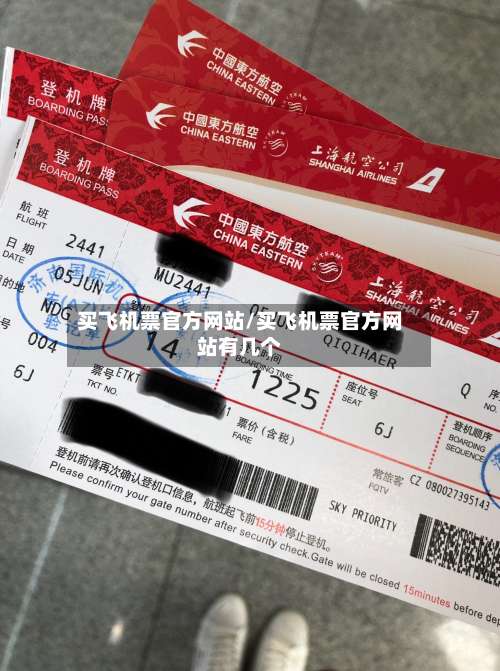买飞机票官方网站/买飞机票官方网站有几个-第3张图片