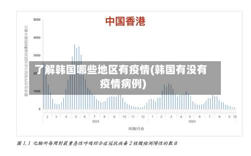 了解韩国哪些地区有疫情(韩国有没有疫情病例)-第3张图片