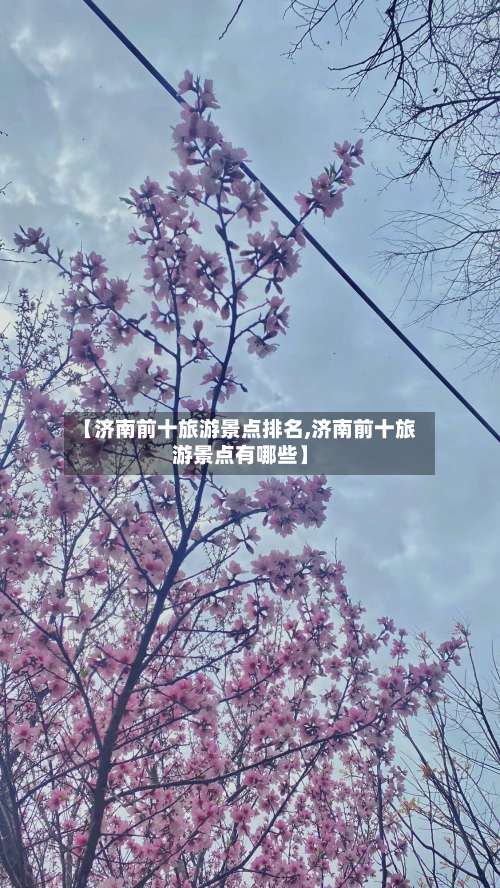 【济南前十旅游景点排名,济南前十旅游景点有哪些】-第1张图片