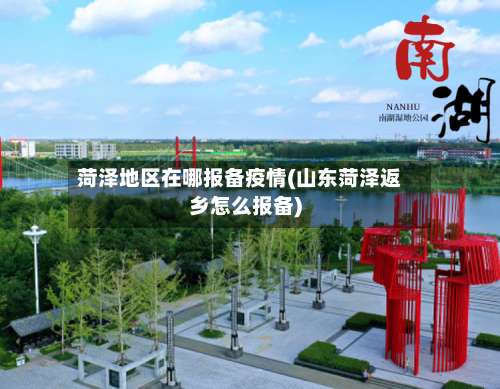 菏泽地区在哪报备疫情(山东菏泽返乡怎么报备)-第2张图片