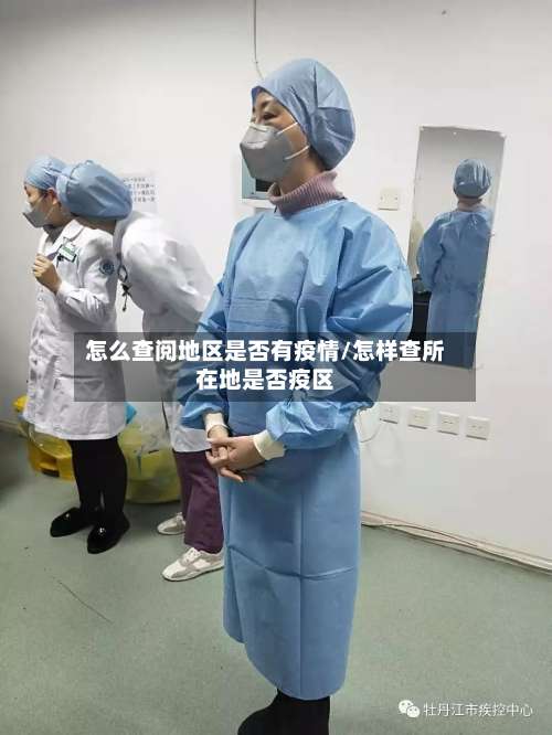 怎么查阅地区是否有疫情/怎样查所在地是否疫区-第1张图片