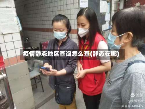 疫情静态地区查询怎么查(静态在哪)-第2张图片
