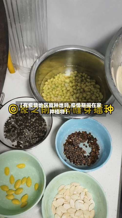 【有疫情地区能种地吗,疫情期间在家种植物】-第1张图片