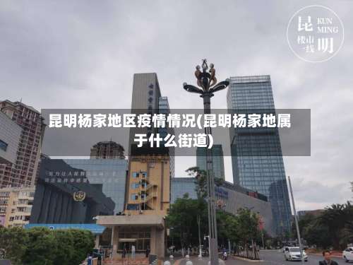 昆明杨家地区疫情情况(昆明杨家地属于什么街道)-第3张图片