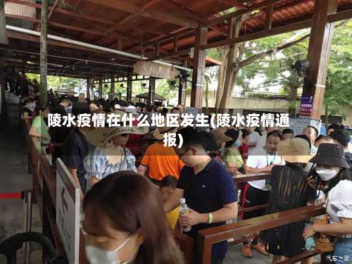 陵水疫情在什么地区发生(陵水疫情通报)-第3张图片