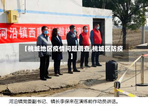 【桃城地区疫情问题调查,桃城区防疫】-第1张图片