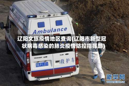 辽阳文旅疫情地区查询(辽阳市新型冠状病毒感染的肺炎疫情防控指挥部)-第2张图片