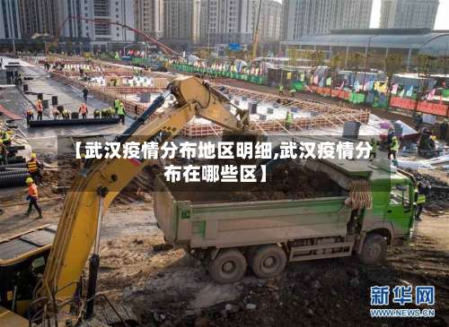 【武汉疫情分布地区明细,武汉疫情分布在哪些区】-第2张图片