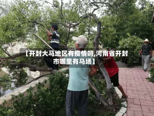 【开封大马地区有疫情吗,河南省开封市哪里有马场】-第3张图片