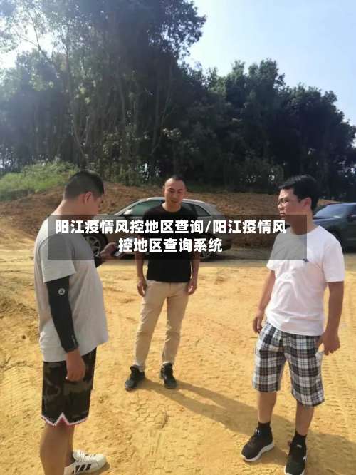 阳江疫情风控地区查询/阳江疫情风控地区查询系统-第2张图片